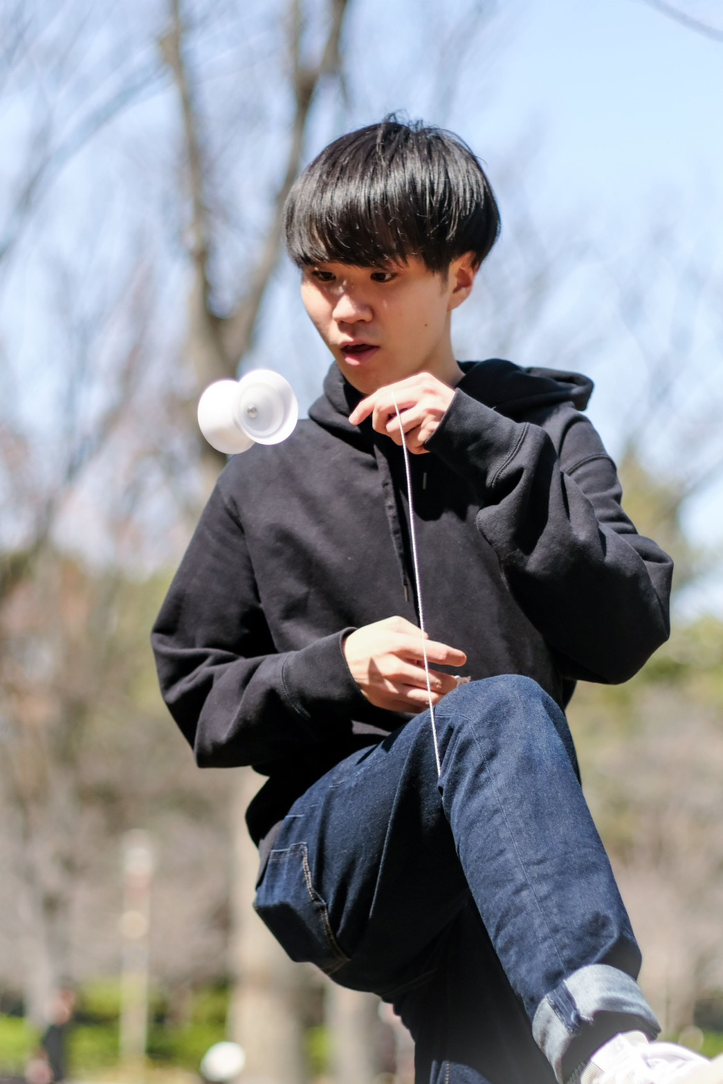 KOYO HASHIMOTO